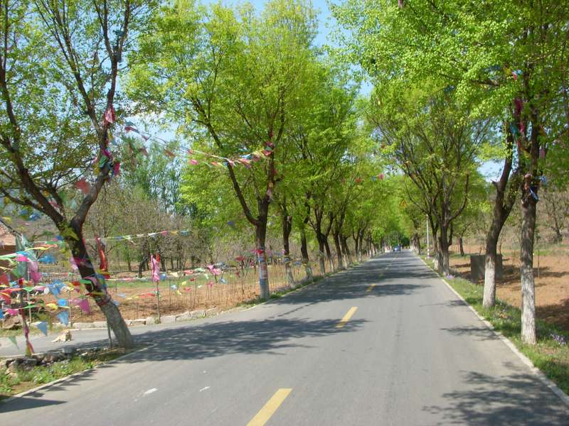 就顺这这条路走