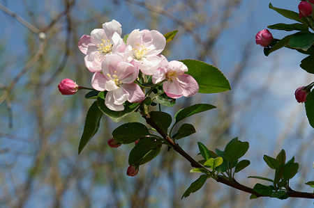 DSC00108.JPG