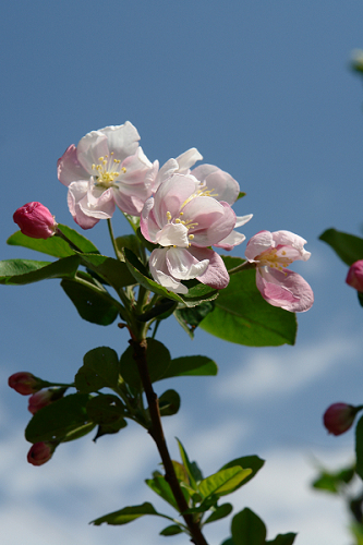 旋转 DSC00106.JPG