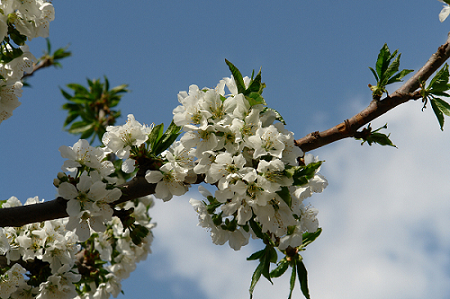 DSC00092.JPG