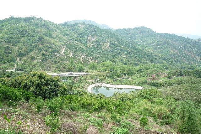 有個小水池，一路上都沒看到，可能騎得快沒注意