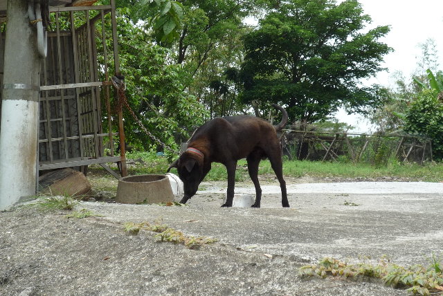 這隻完全不裡我...