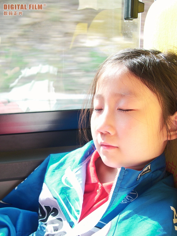 老虎也有打盹的时候