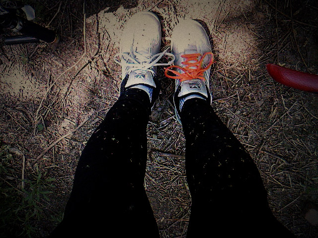 裤子上都是花粉，还挺好看的