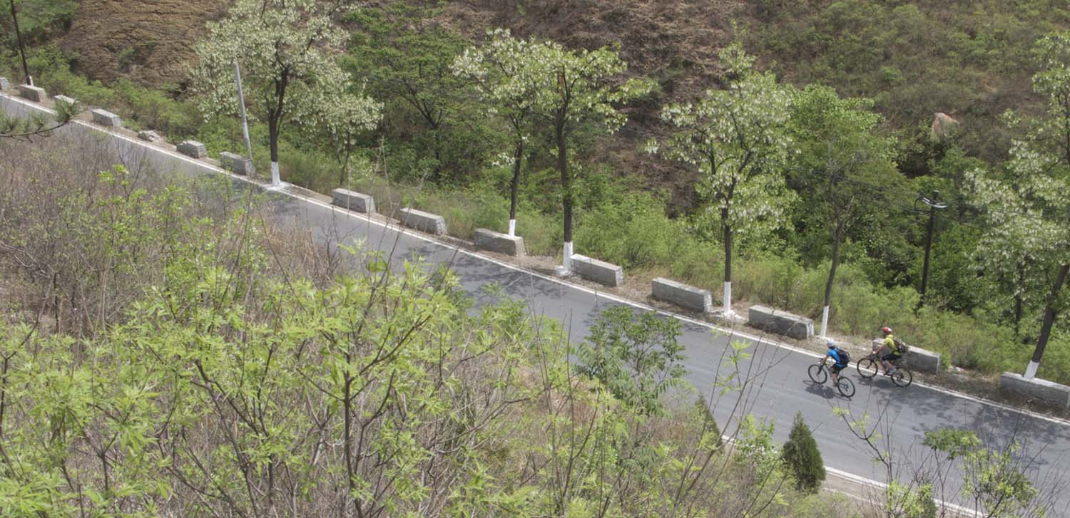 小拐与狼同行？