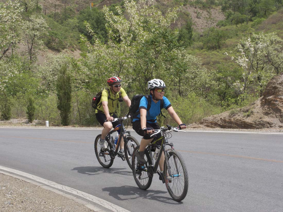 小拐究竟是与狼共舞还是与狼同行？