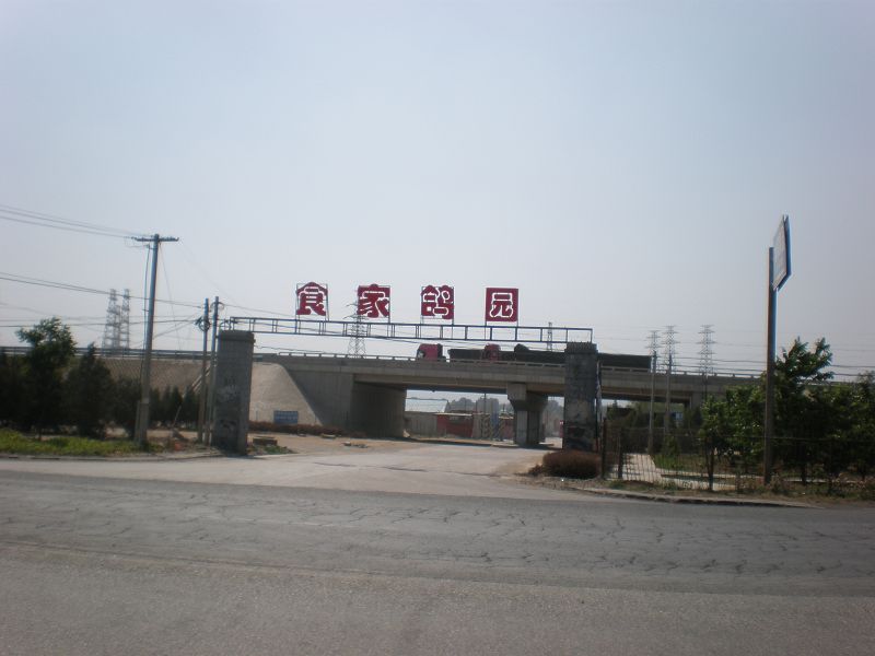 这是什么意思呀？