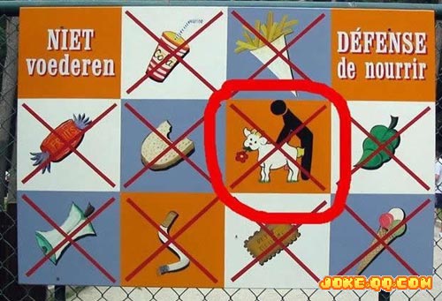 　　禁止和羊发生性行为？！汗……