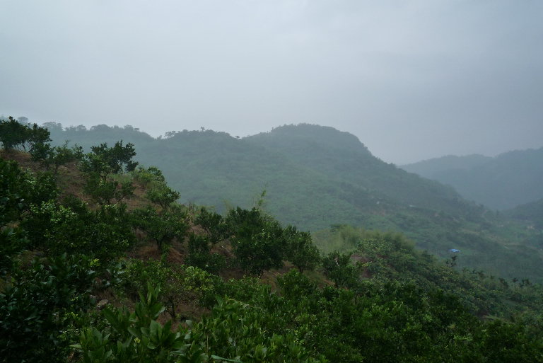 風景