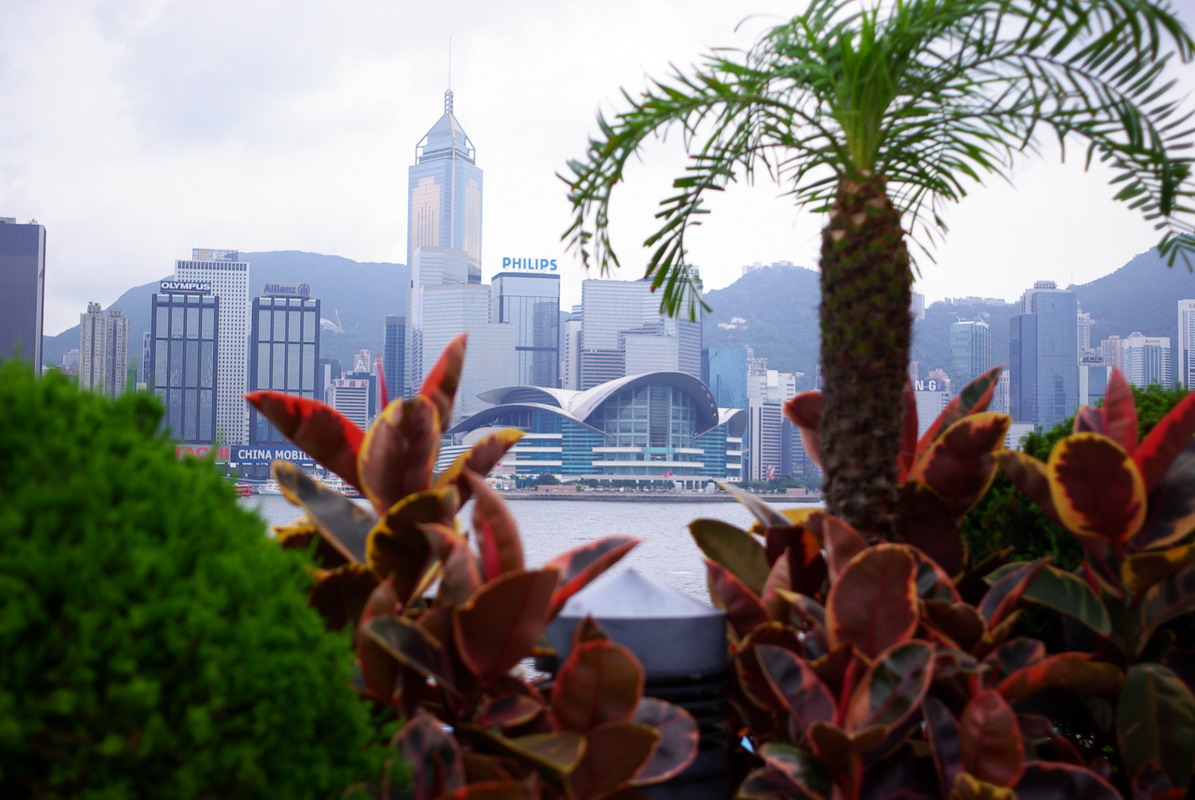 星光大道看望岛内