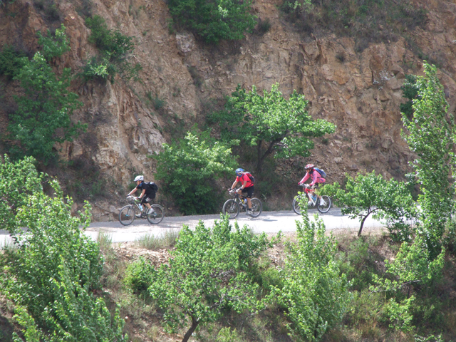 不好，有人抢美食！快跑！