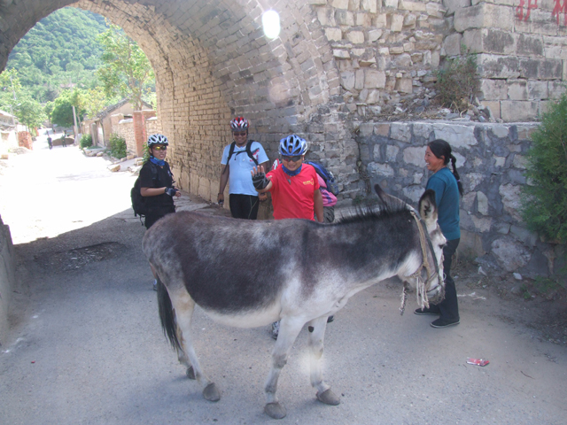 噢，原来是舍不得毛驴
