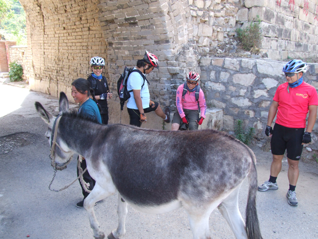 为什么到了镇边城就不怕了？看！底牌：我们是毛驴骑兵！我们不是一个人在战斗！ ...