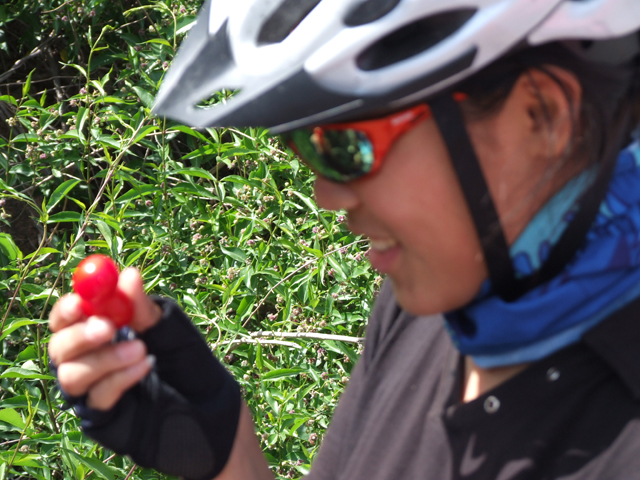 虽然看起来个头小点