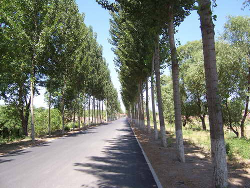 魏各庄路出奇的好