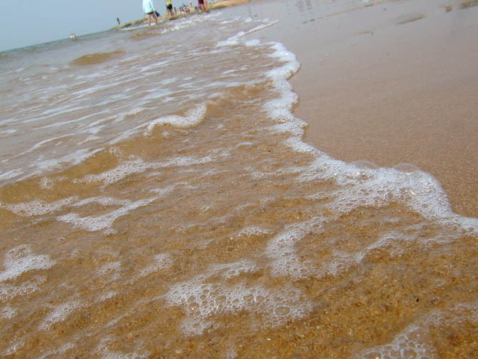 浪花儿 副本副本.JPG