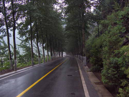 幽静的山路/老板很喜欢