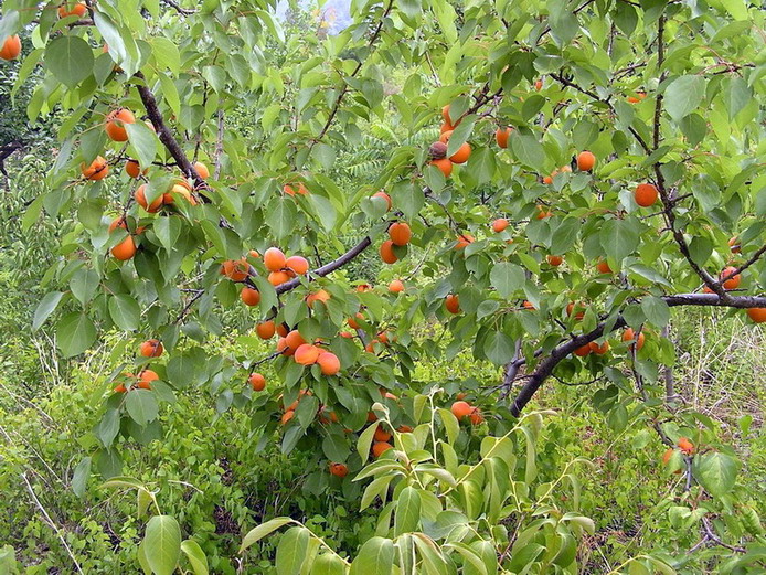 找到目标了……