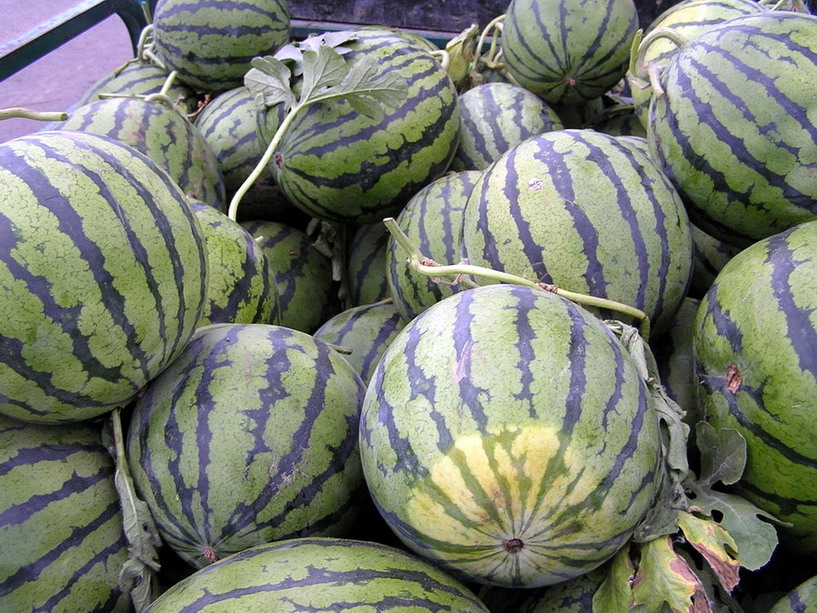 看上了一车西瓜