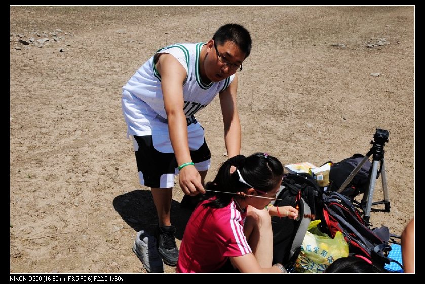 有玫瑰的地方就有刺猬