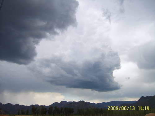 老虎终于吃了人