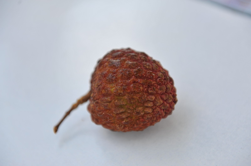 小路带的超级荔枝王