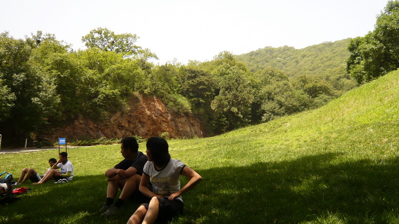 天高云淡，绿草如茵，你修车来我纳凉