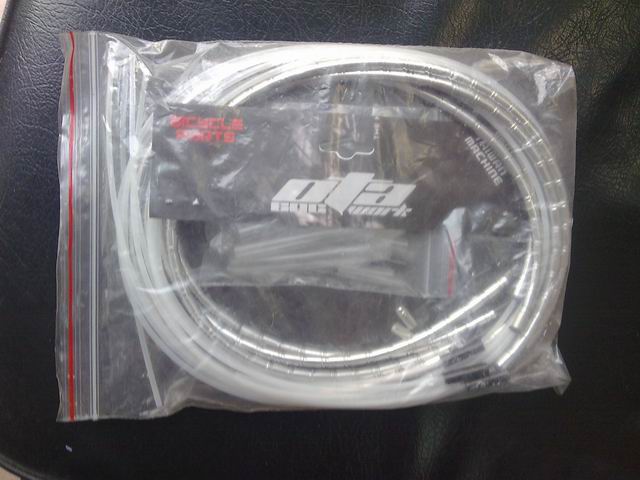 调整大小 图像448.jpg