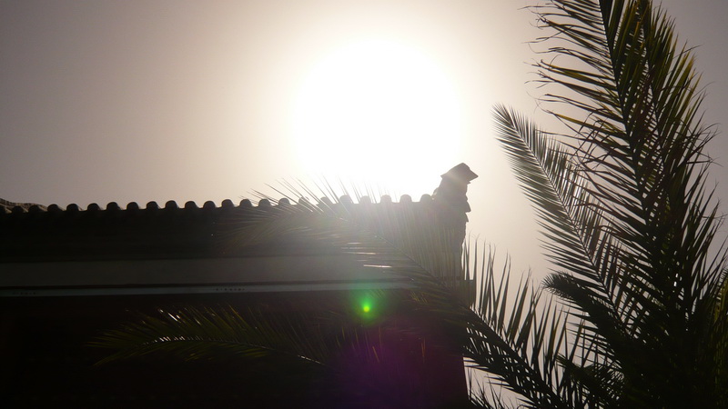 感谢当天的太阳，回家后肩膀上的皮肤开始微疼，就是为了晒黑才穿的砍袖，有效果，男人就是晒出来的 ...