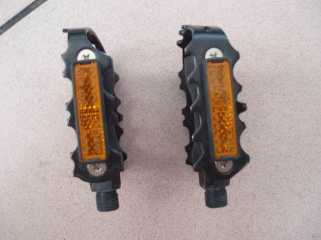 调整大小 P6300007.JPG