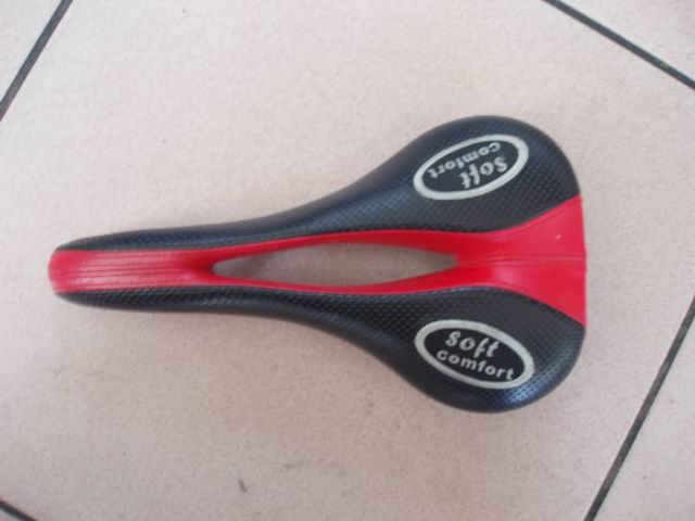 调整大小 P6300003.JPG