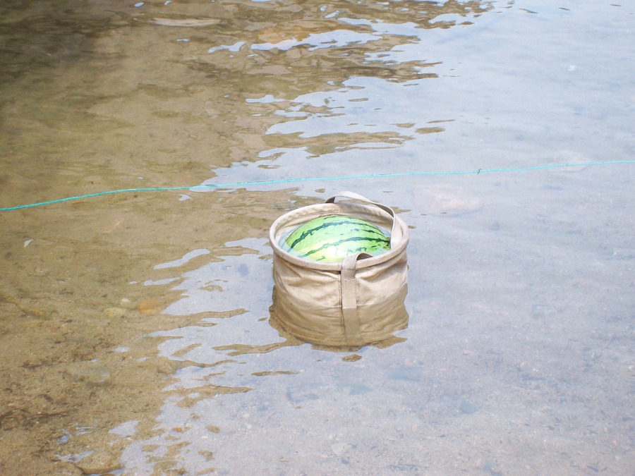 还镇着西瓜卖呢