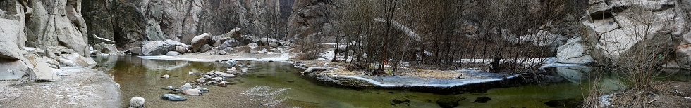 旺泉河初春风景