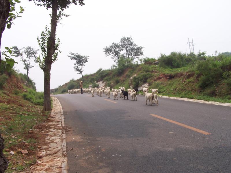 后方拼命追赶第一集团的大部队，目前已有20分钟的差距……