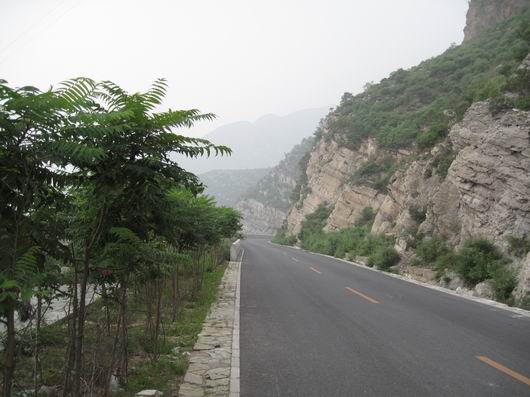 调整大小 IMG_2382.jpg