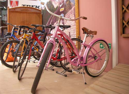 好可爱的车~想刹闸吗？往后倒脚蹬子~