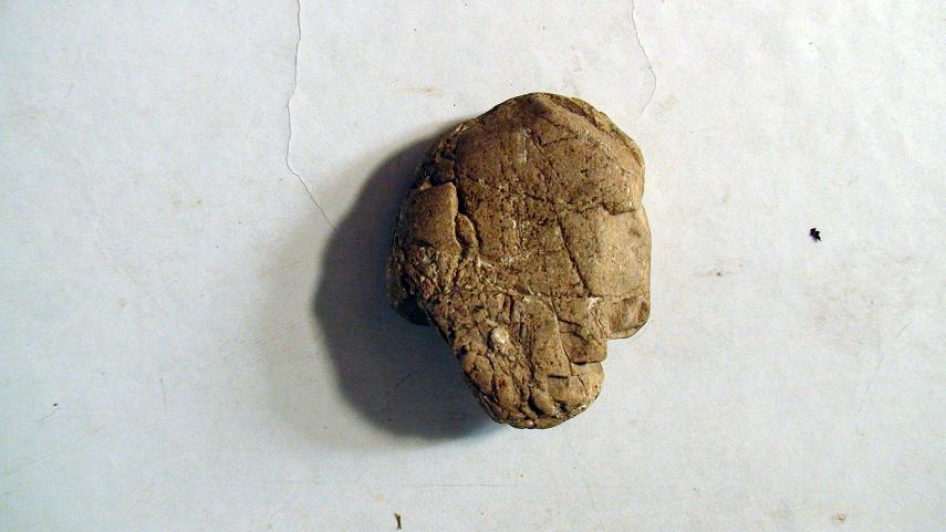 正面  像不像人脸的侧面