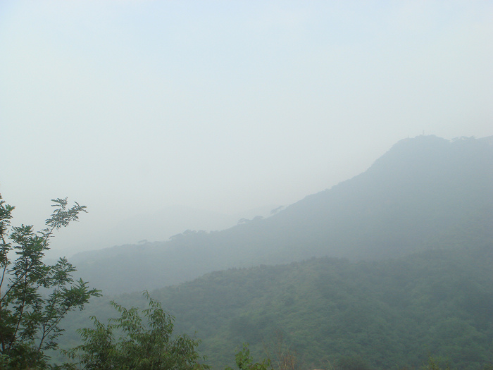 雾蒙蒙的山.jpg