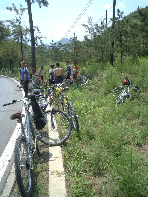 符合公路安全规定--鉴定完毕