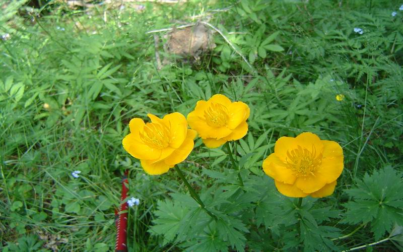 调整大小 小五台 054.jpg