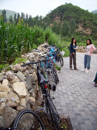 烧烤解谗，美女养眼