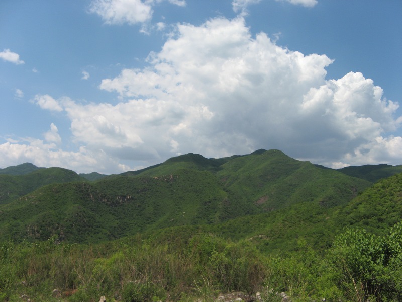 重点变成云了,山象小丘