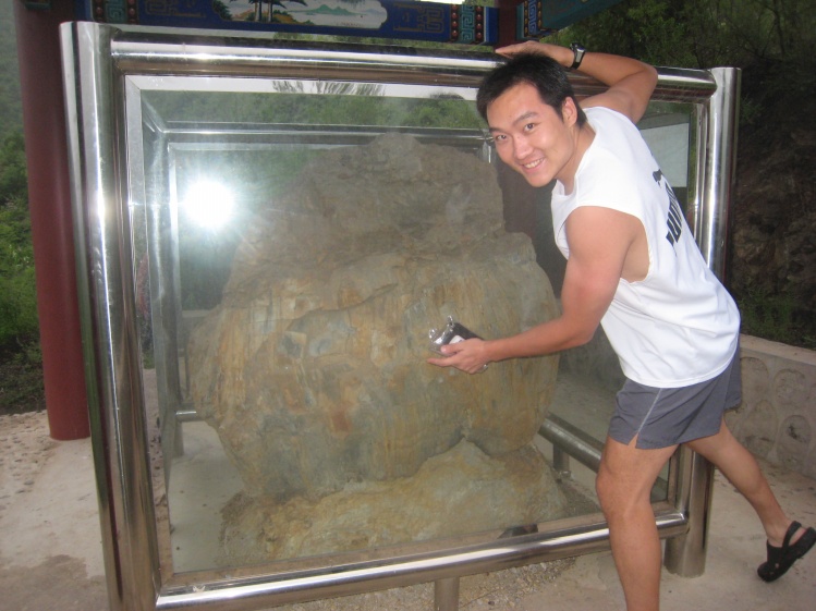 每块硅化木都有上亿年的历史