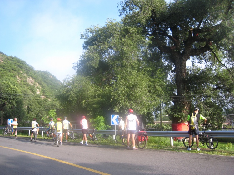 路边一棵两人合围的大树，前面供奉着香案，看来已经是年代久远了。