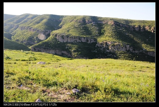 一个草甸算是吧？