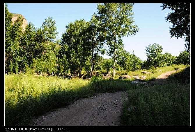 全程这路50公里