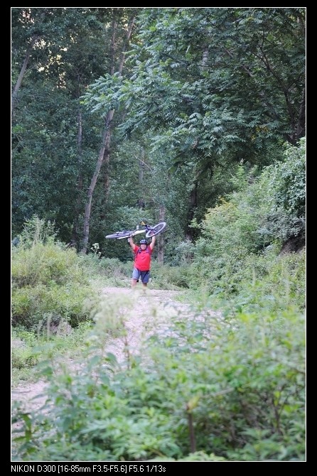 救命呀！！有狗熊！！！