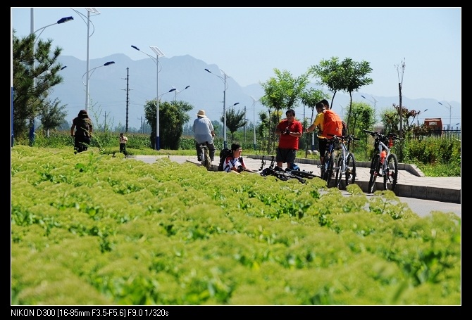 在休整 看莫莫的伤势 比较严重 导致后面莫莫只穿着大花秋裤！