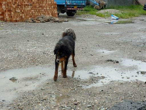 重新曝光 P1010220.JPG