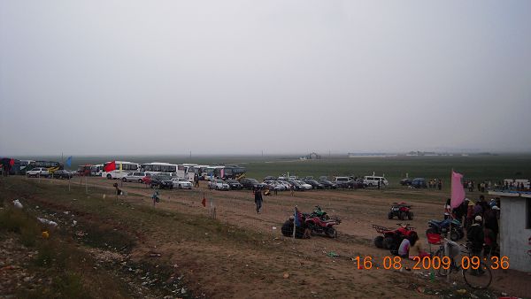 车多马多人也多